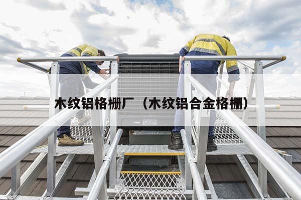 铝合金格栅开启 铝合金格栅开启框图片