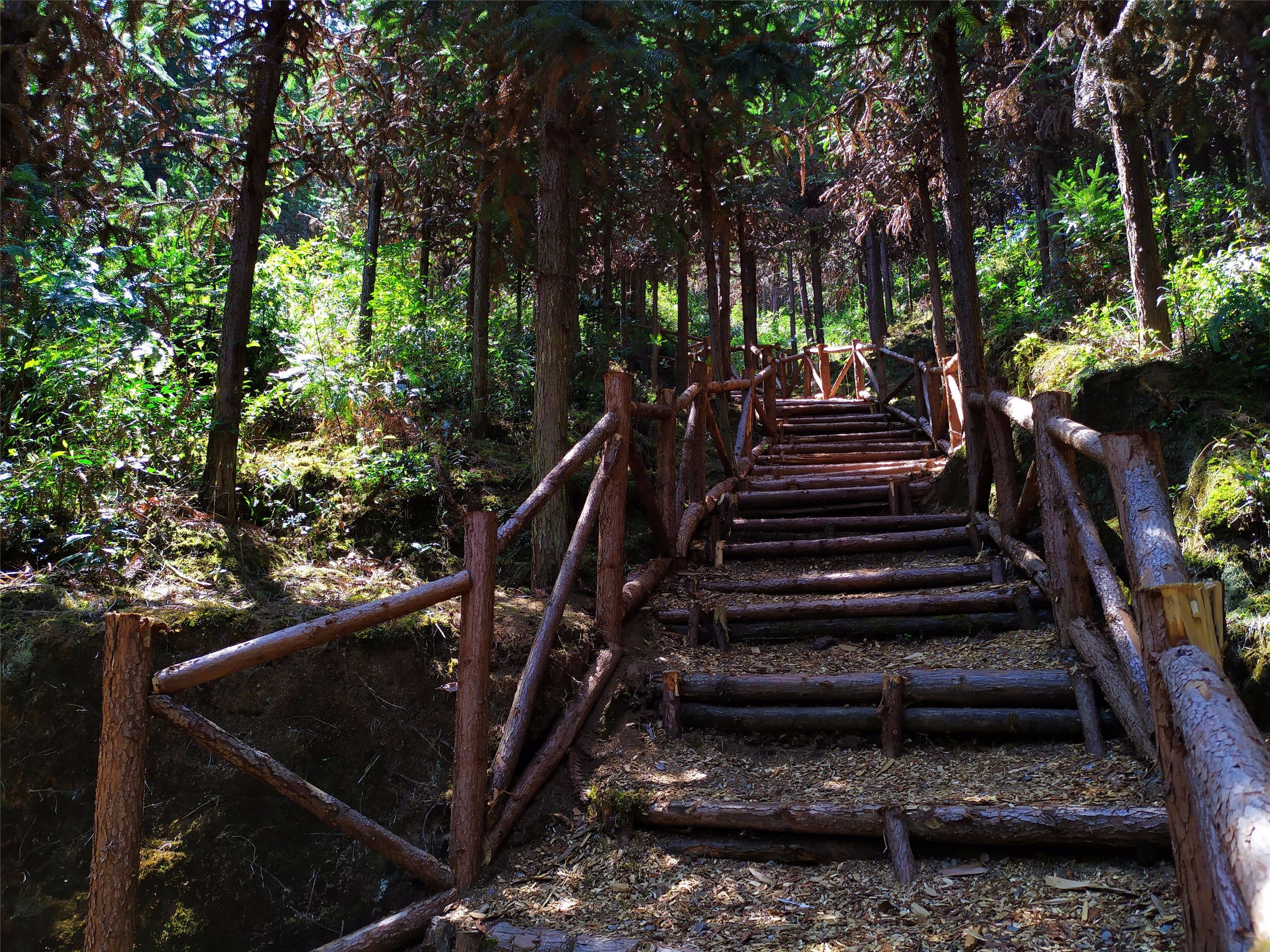 森林步道安全隐患 森林游步道铺设材料