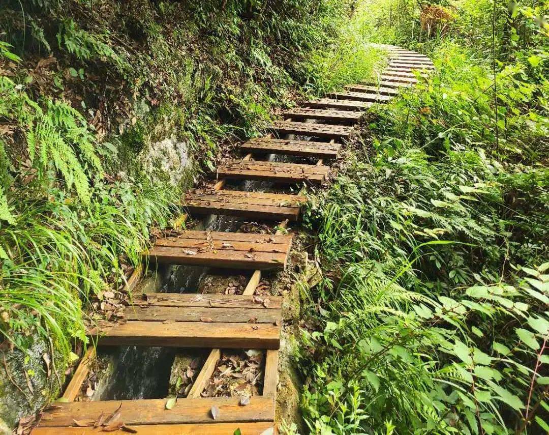 登山步道系统安全体系装备 登山步道系统安全体系装备包括