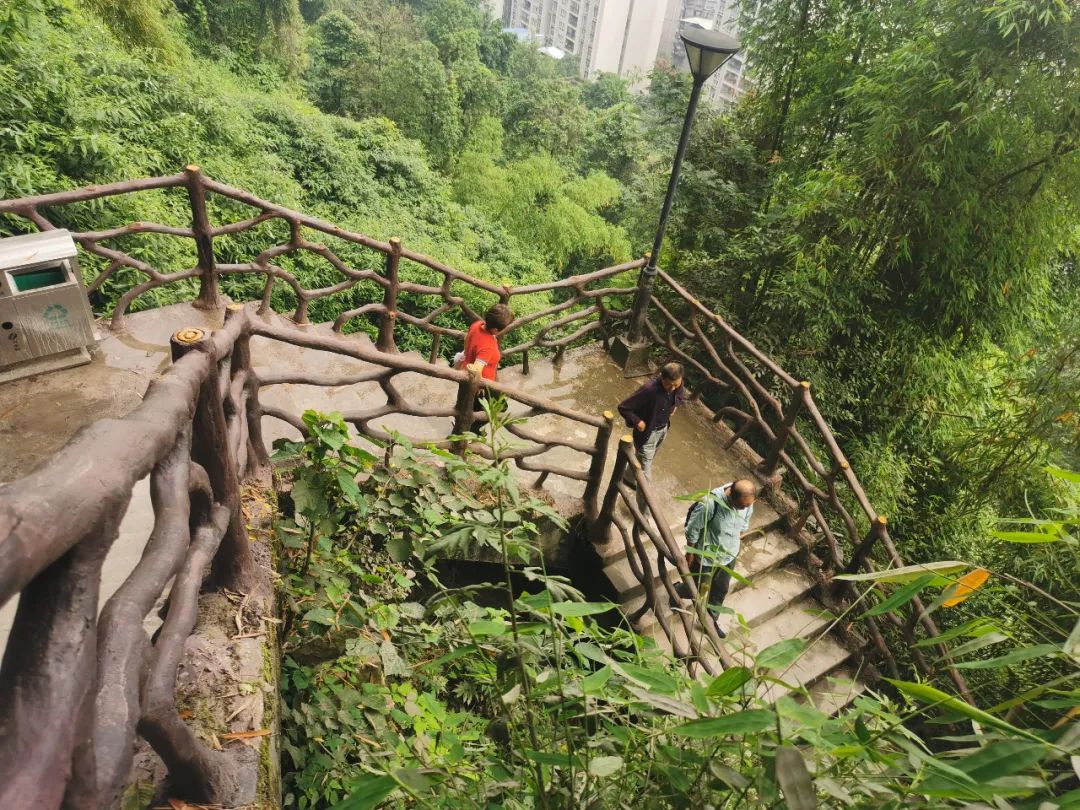 钢琴步道哪家好用安全 钢琴步道哪家好用安全点