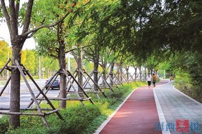 安全文化步道图片 安全文化步道图片高清