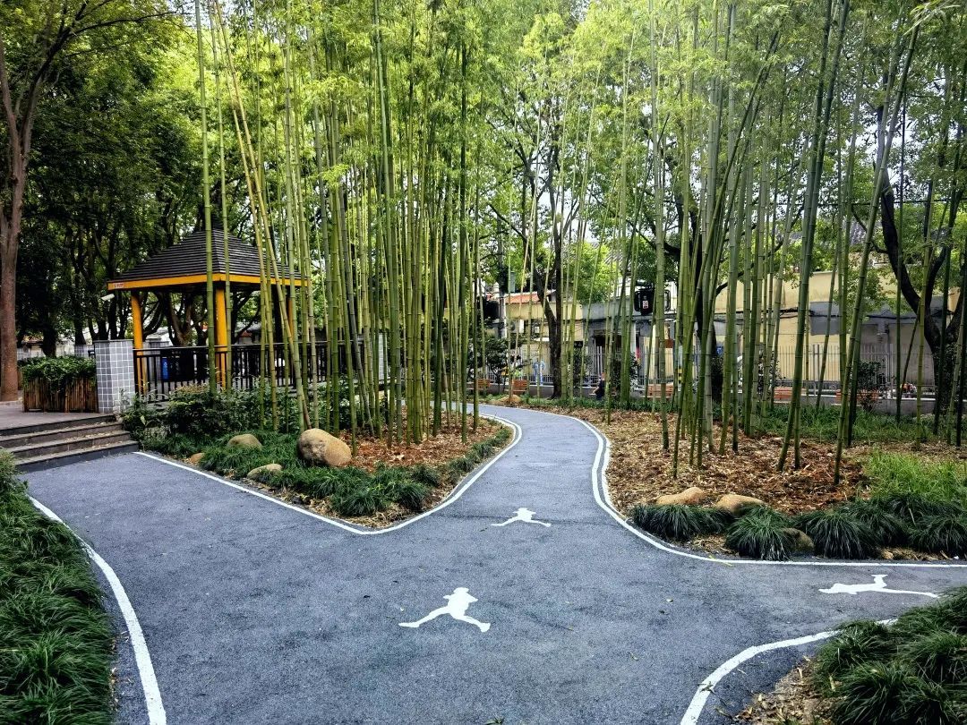 公园步道安全规范要求多宽 