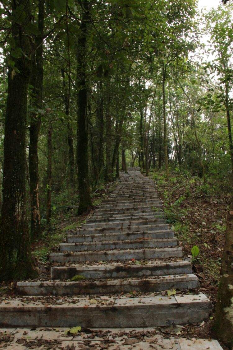 形容游步道美丽安全的句子 形容游步道美丽安全的句子简短
