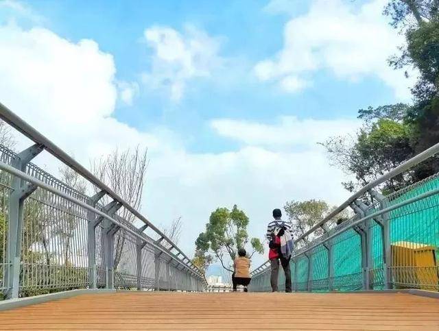 空中步道安全索没有扣好 