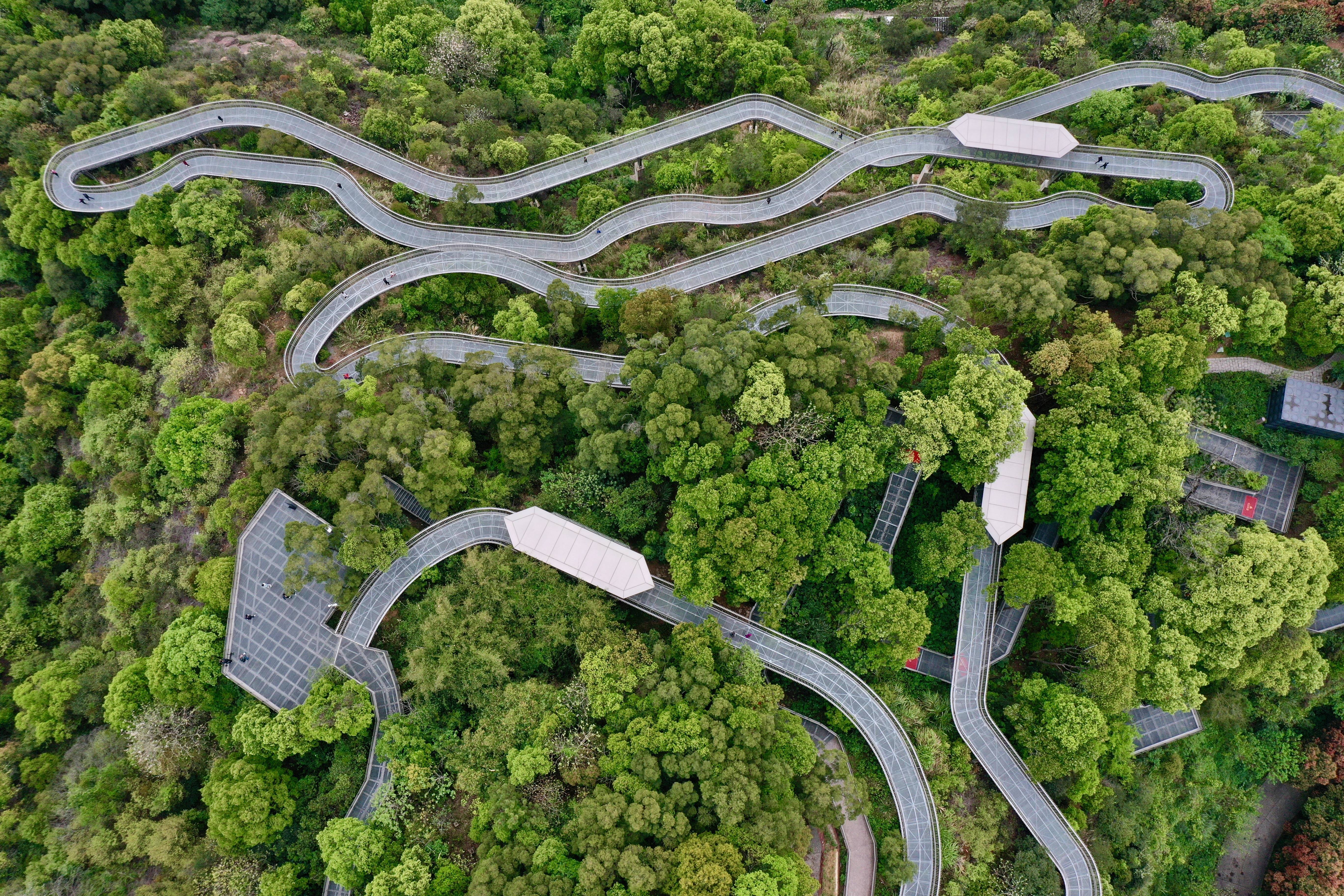 福州森林步道安全吗 福州森林公园徒步路线