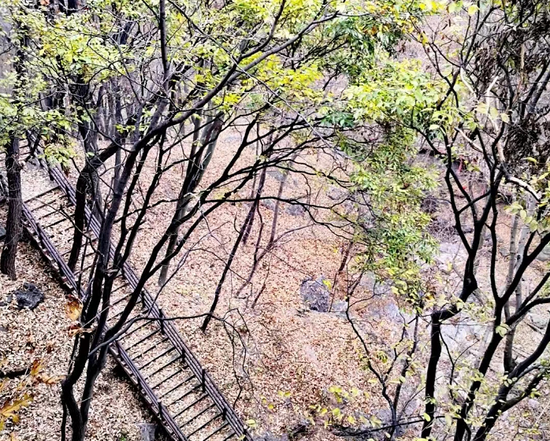 太行山森林步道安全隐患 太行山国家森林步道有什么意义