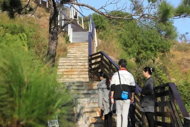 山体景区游览步道安全包括 山体景区游览步道安全包括哪些方面