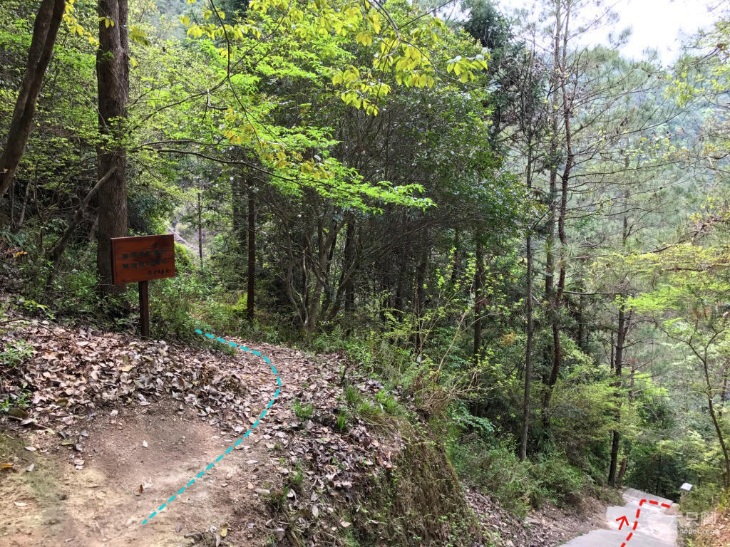 景区游步道安全隐患 景区道路存在安全隐患报告