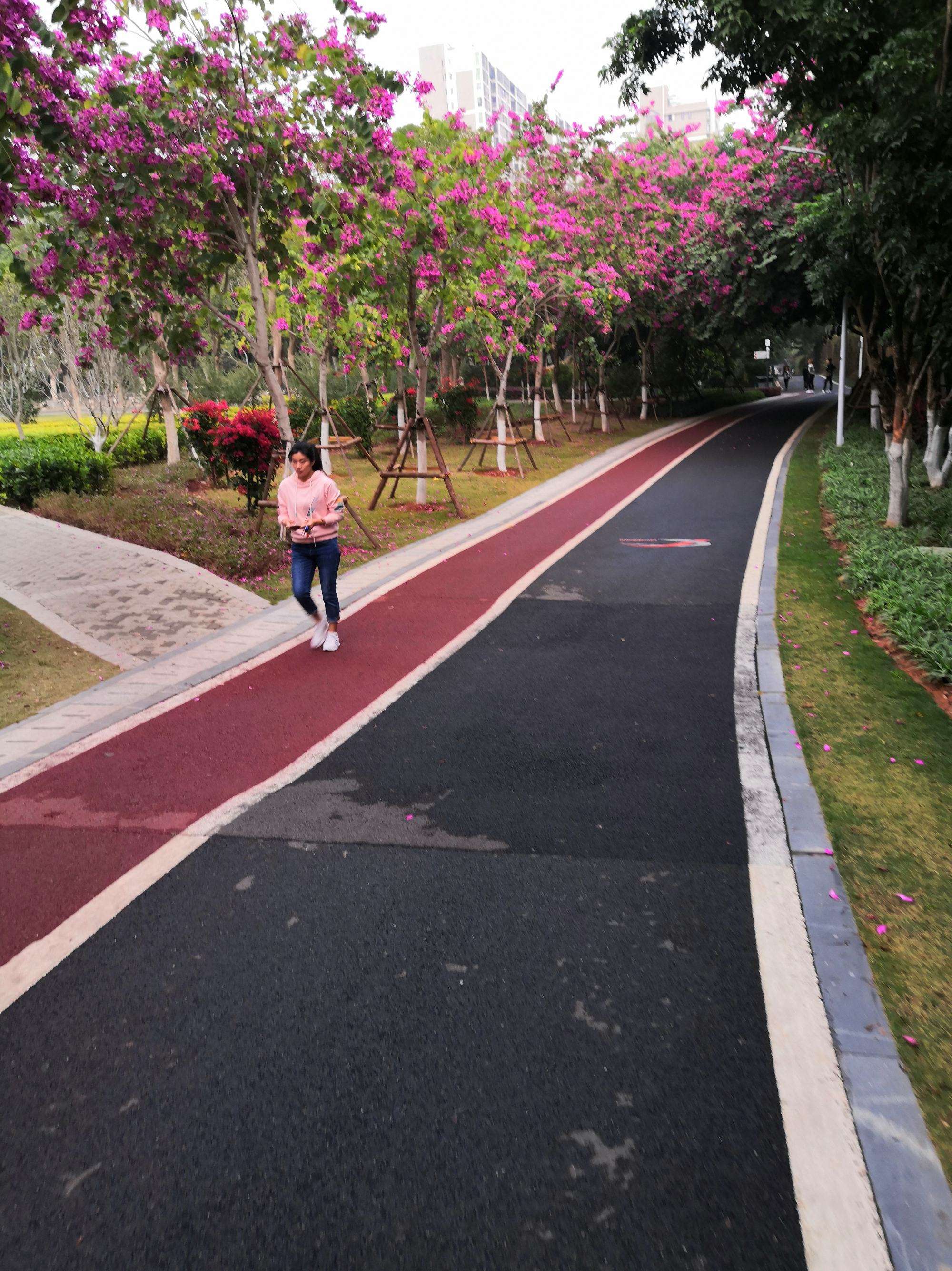 厦门健康步道安全吗 厦门健康步道要门票多少钱