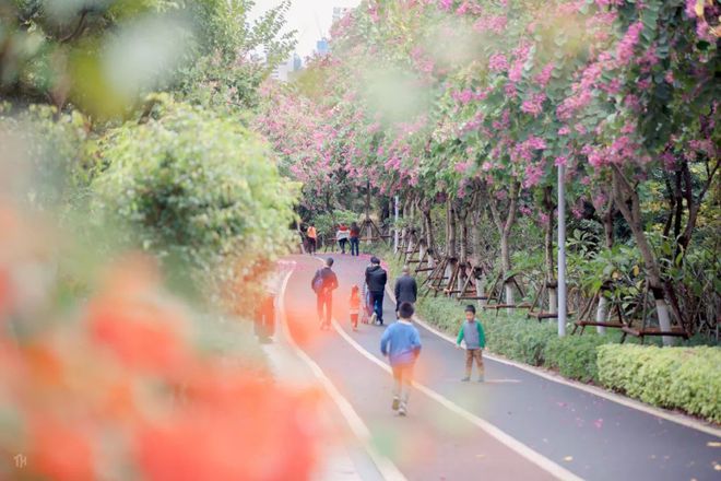 厦门安全步道 厦门城市步道全景
