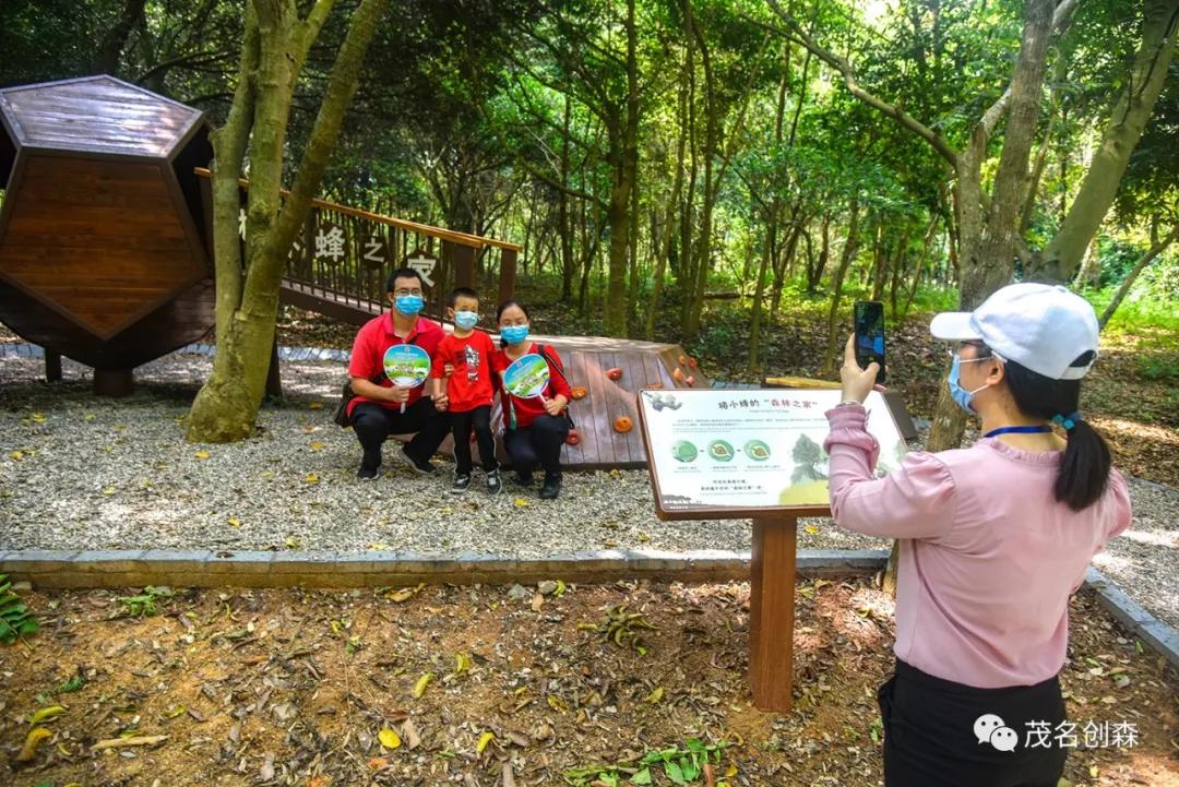 青山步道安全综合整治 青山步道安全综合整治实施方案