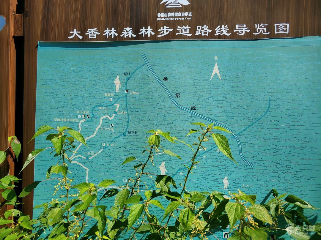 景区游步道项目安全 景区游步道用什么材料好