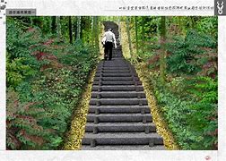 游步道安全隐患表现 简述游步道的设计要点