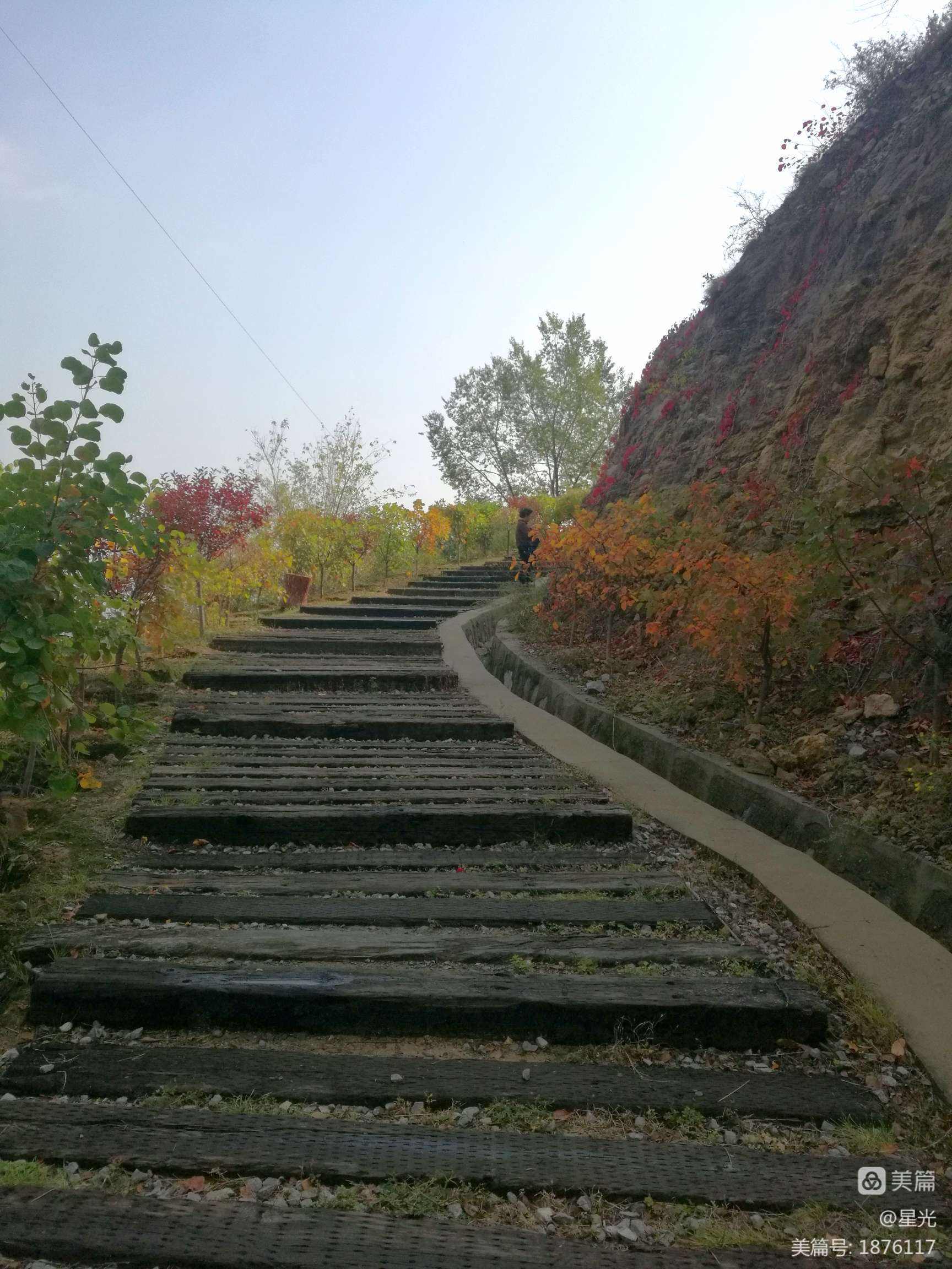 景区游步道安全 景区步道有哪几种