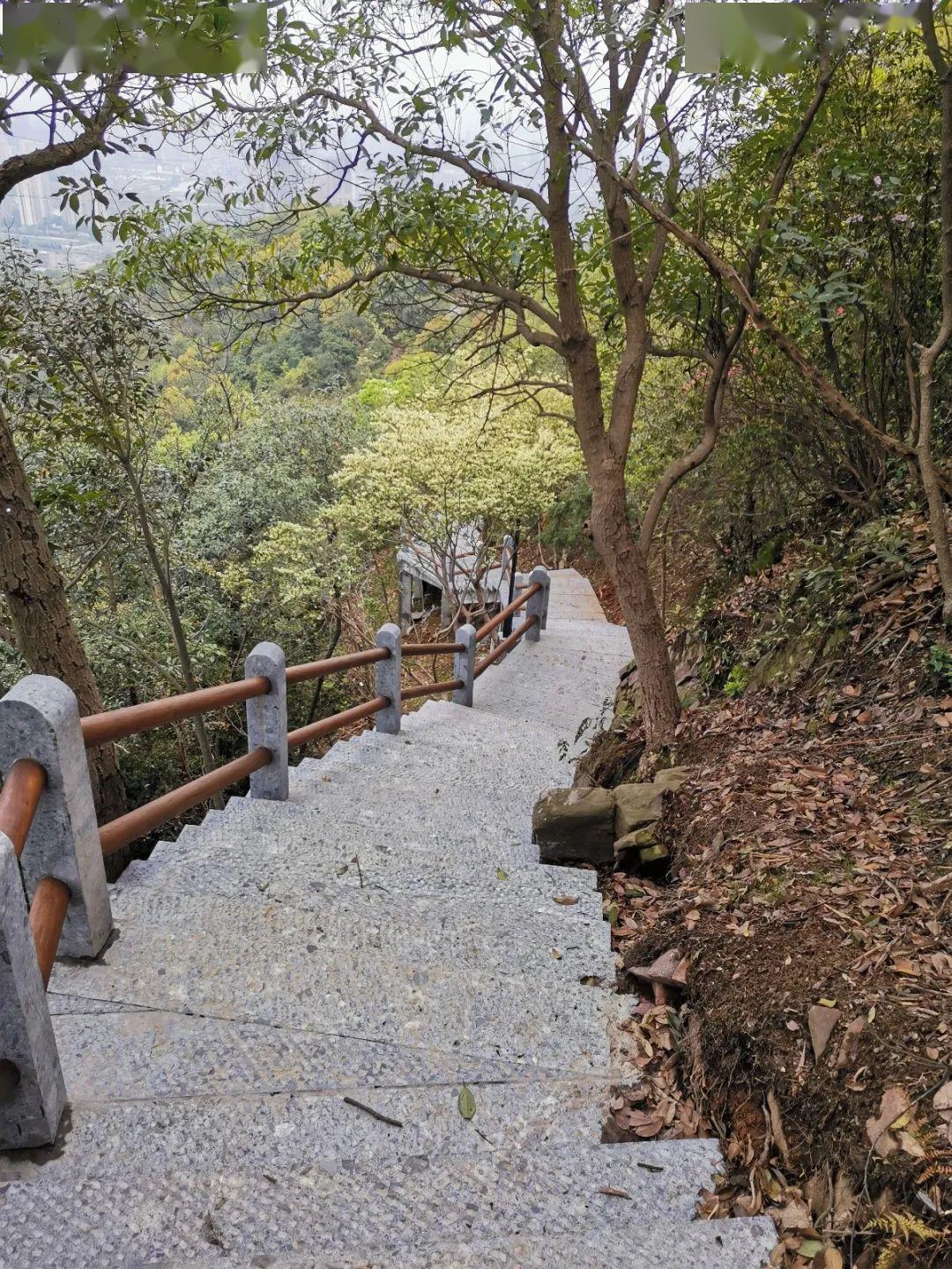 游步道安全说明 游步道安全说明书