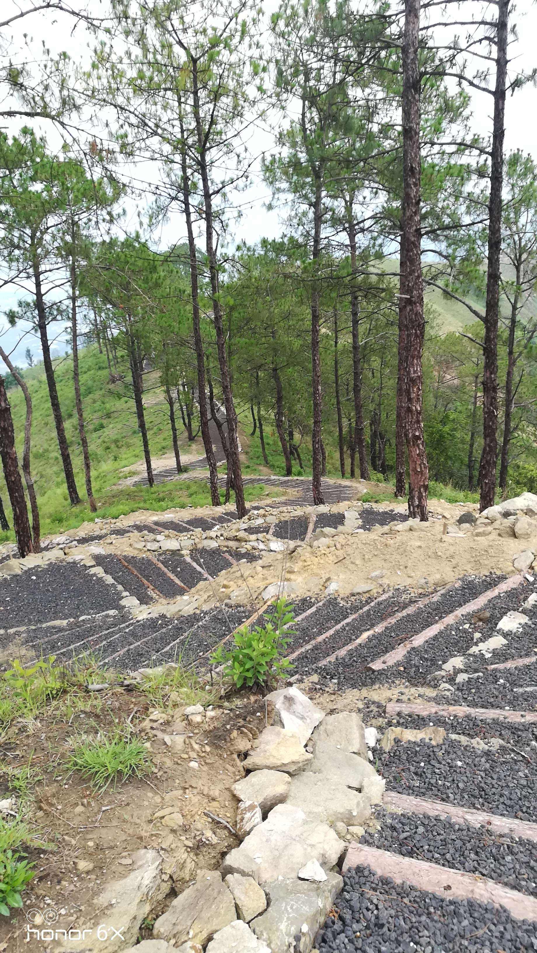 广州长岭国家登山步道安全 