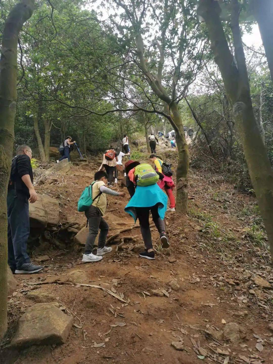 广州长岭国家登山步道安全 