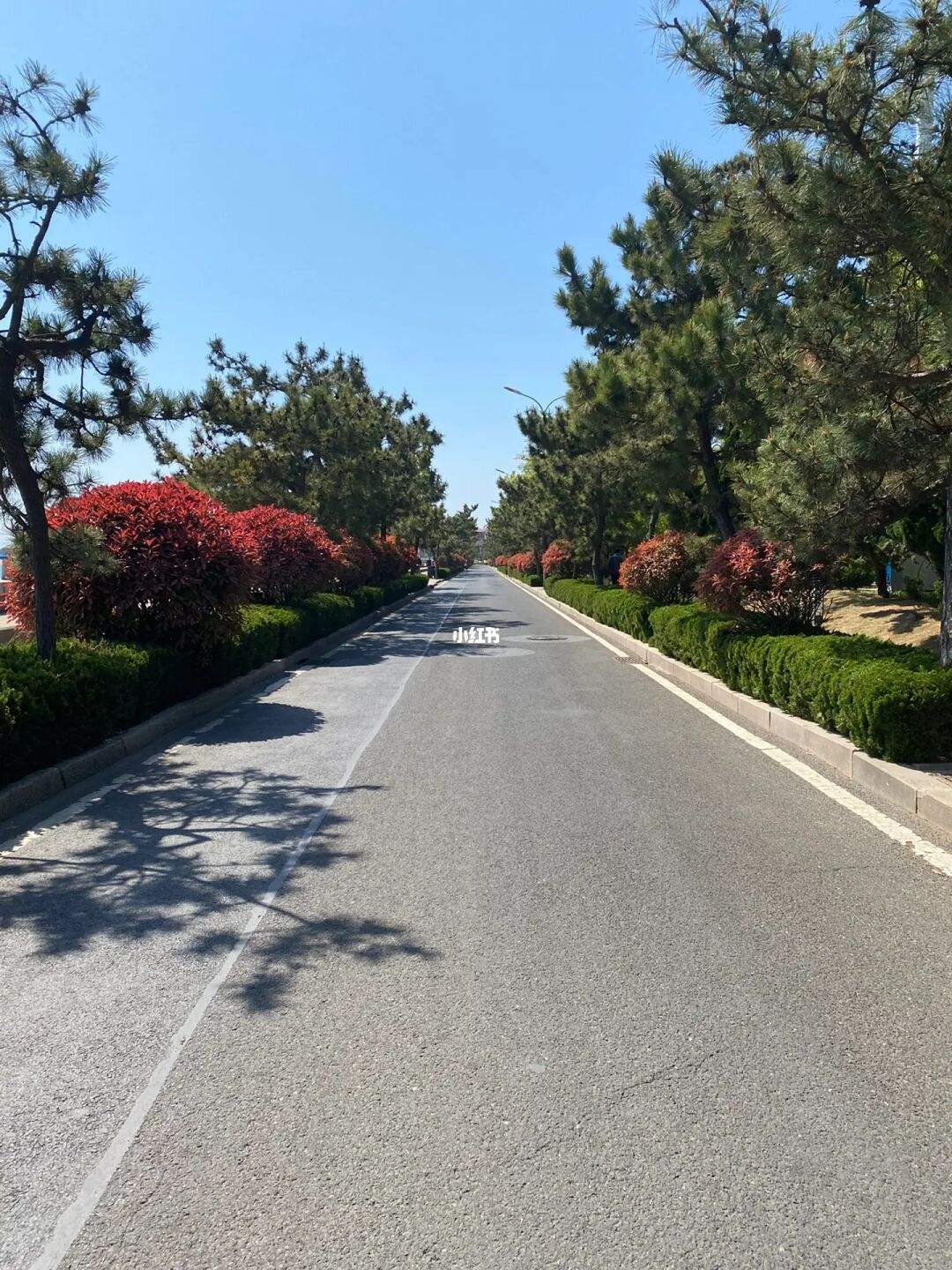跑步道路安全吗 跑步在马路上好还是跑道好