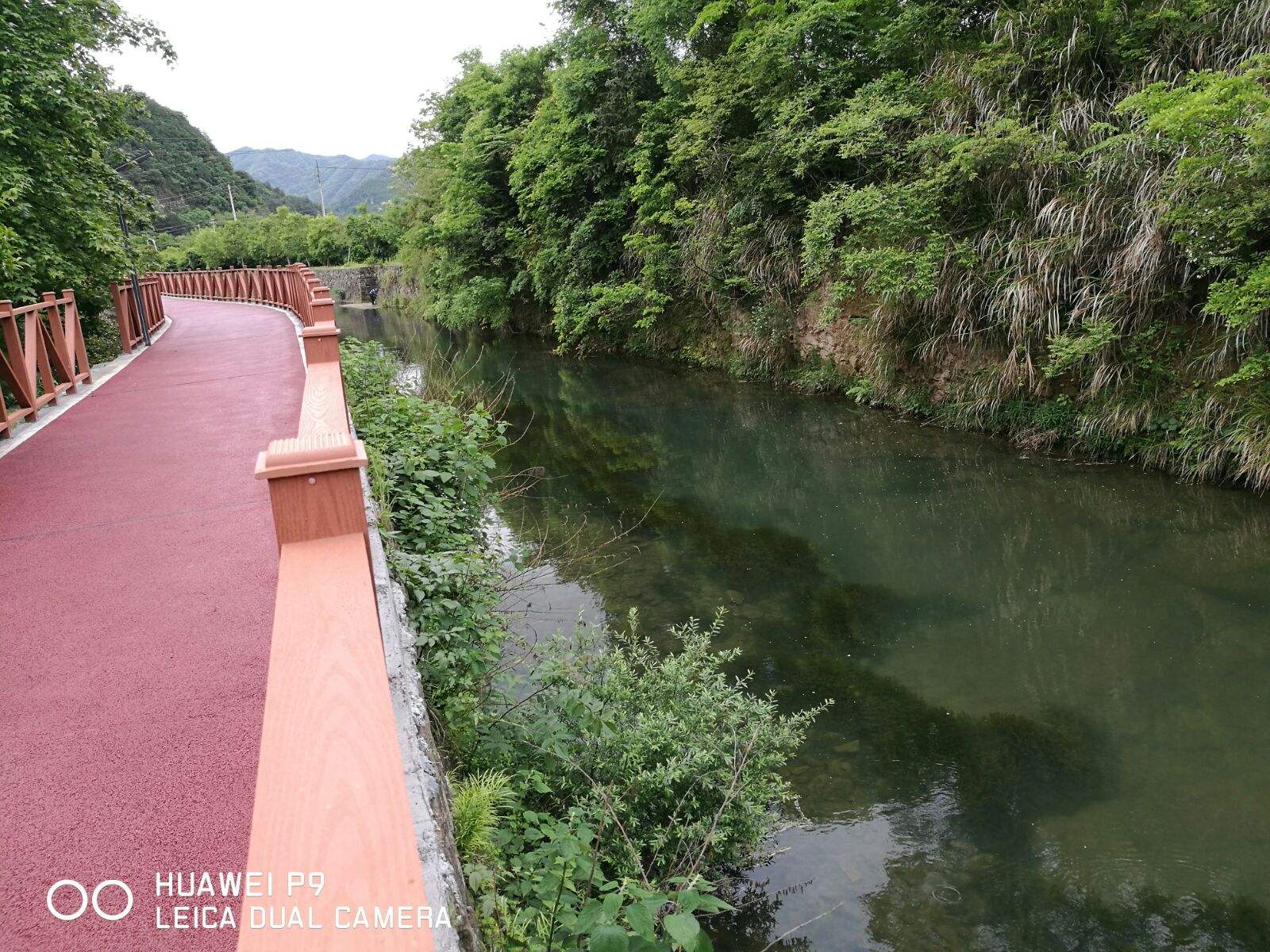 游步道安全研究 游步道安全研究报告