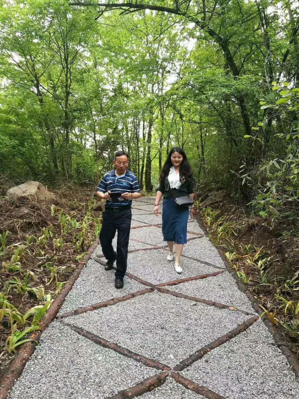 生态游步道安全措施 生态游步道安全措施怎么写