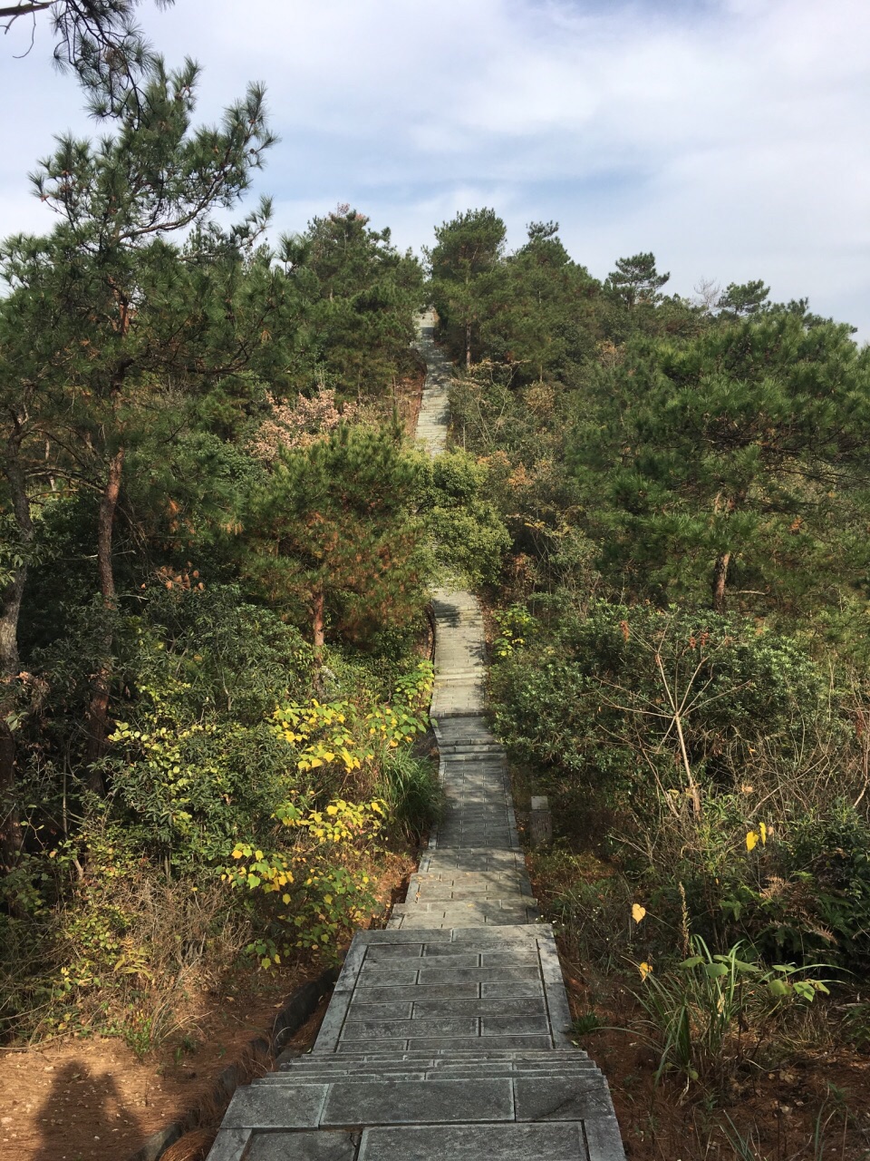 旅游步道的安全规范 旅游步道的安全规范有哪些