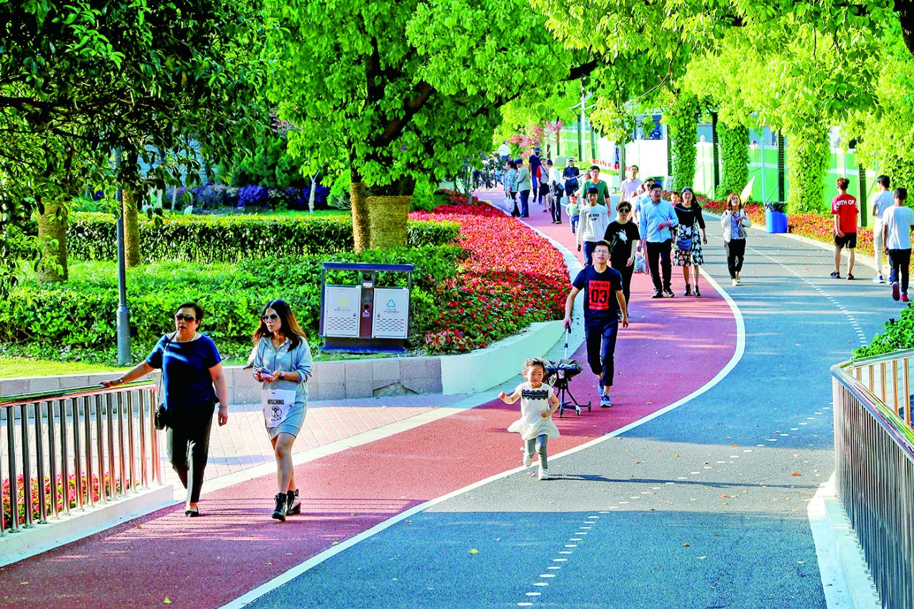 健康步道安全 健康步道施工方案
