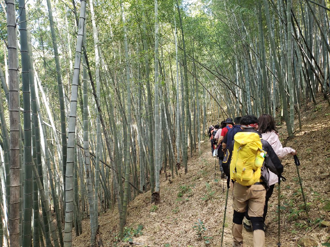 宁海最安全徒步道 宁海最安全徒步道在哪里