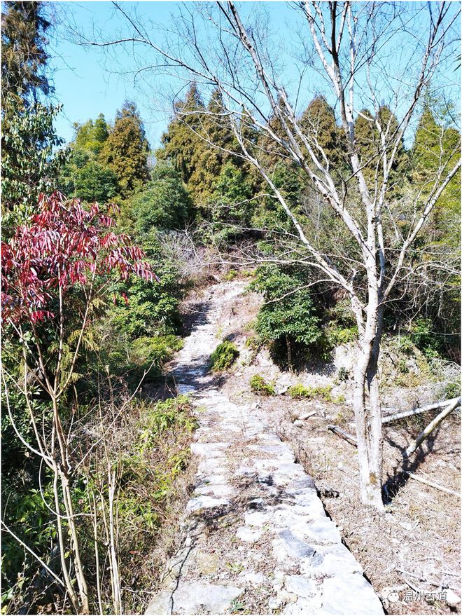 上山游步道安全上 上山步道施工方案专题