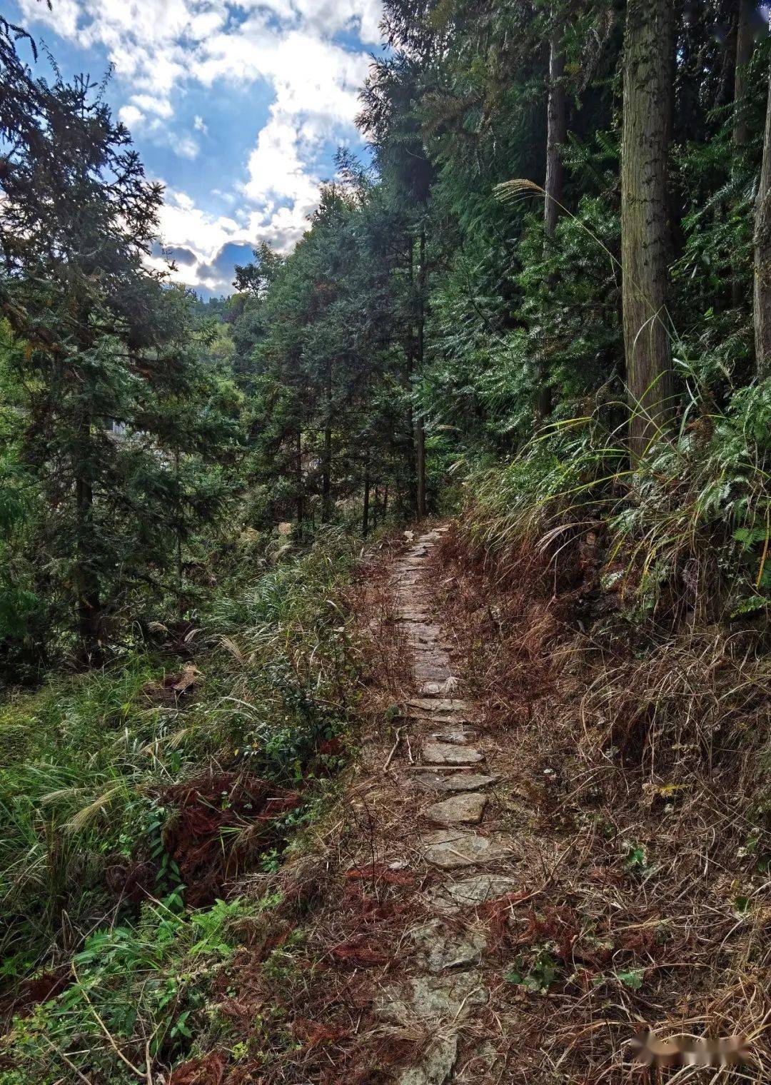 登山步道安全 登山步道施工做法